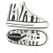 Converse Zebra