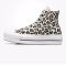 Converse Leopard